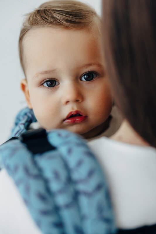 Marsupio LennyUpGrade PRO, misura Standard, tessitura jacquard, 100% cotone - ENCHANTED NOOK - FAIRY #babywearing